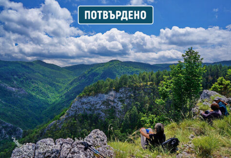 зареница