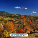 горна арда