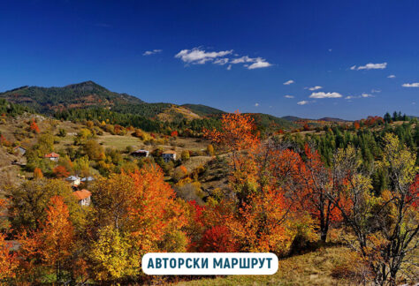 горна арда