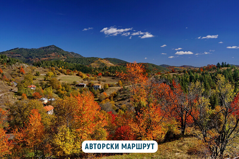 горна арда