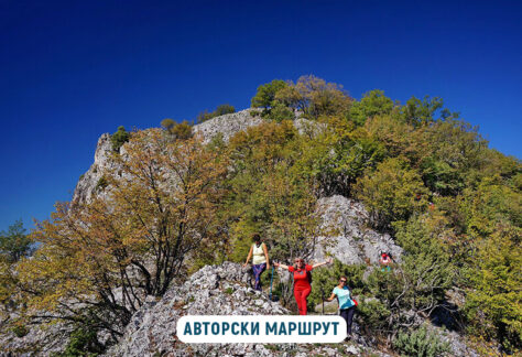 боровско градище