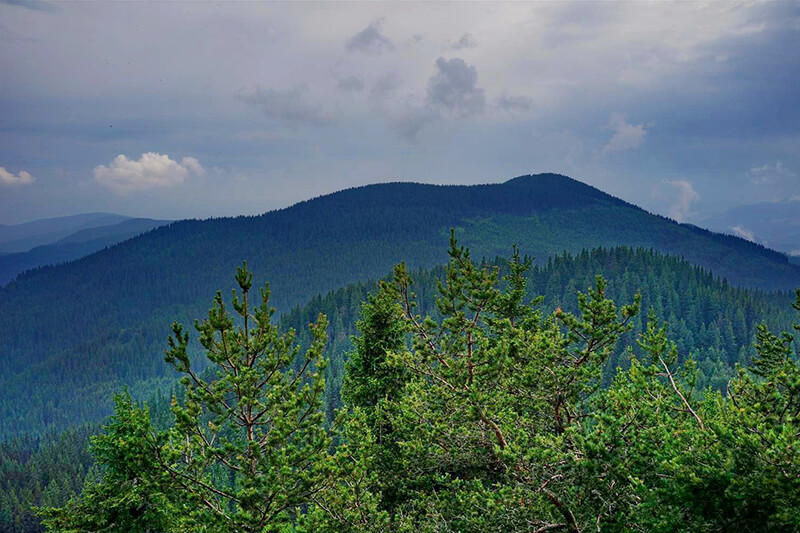 екскурзия чернатица