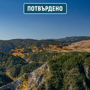 родопи виденица