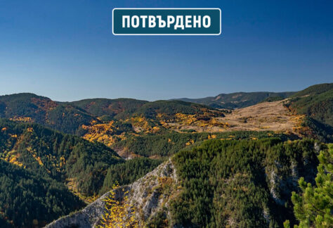 родопи виденица