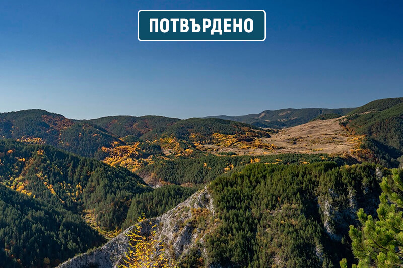 родопи виденица