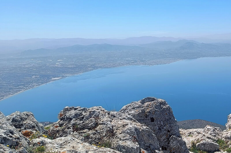 лицензиран водач атика