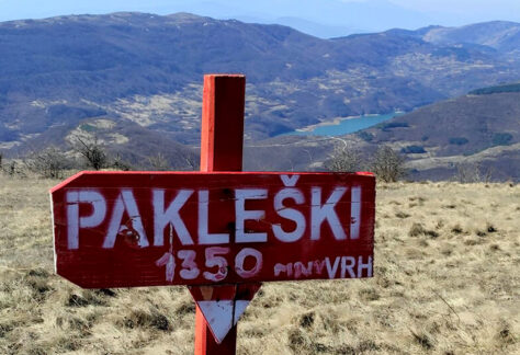 паклешки връх